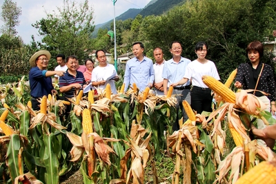 县农业农村局召开农作物品种示范展示现场观摩会